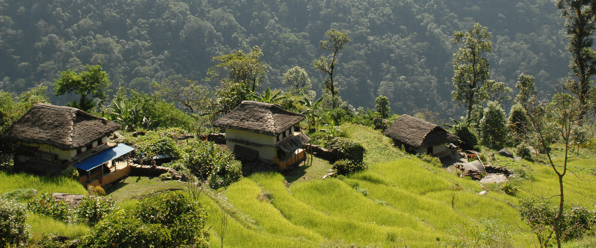 A picture of Arun Valley Trek as stunning blend of natural beauty